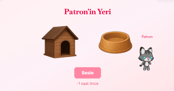 Pet seçeneği 2